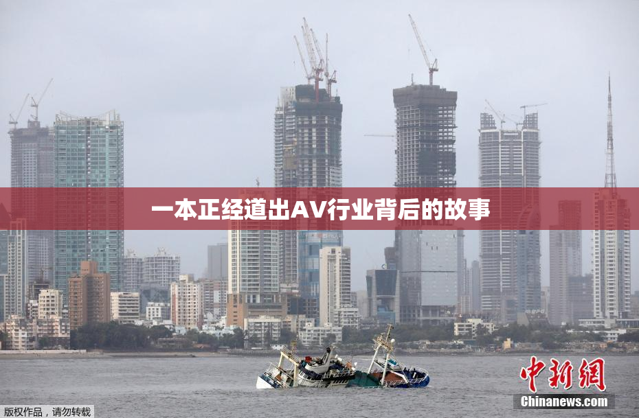 一本正经道出AV行业背后的故事