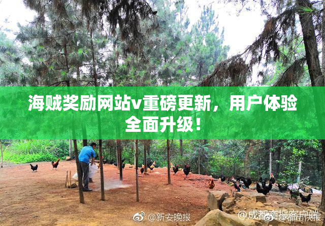 海贼奖励网站v重磅更新，用户体验全面升级！