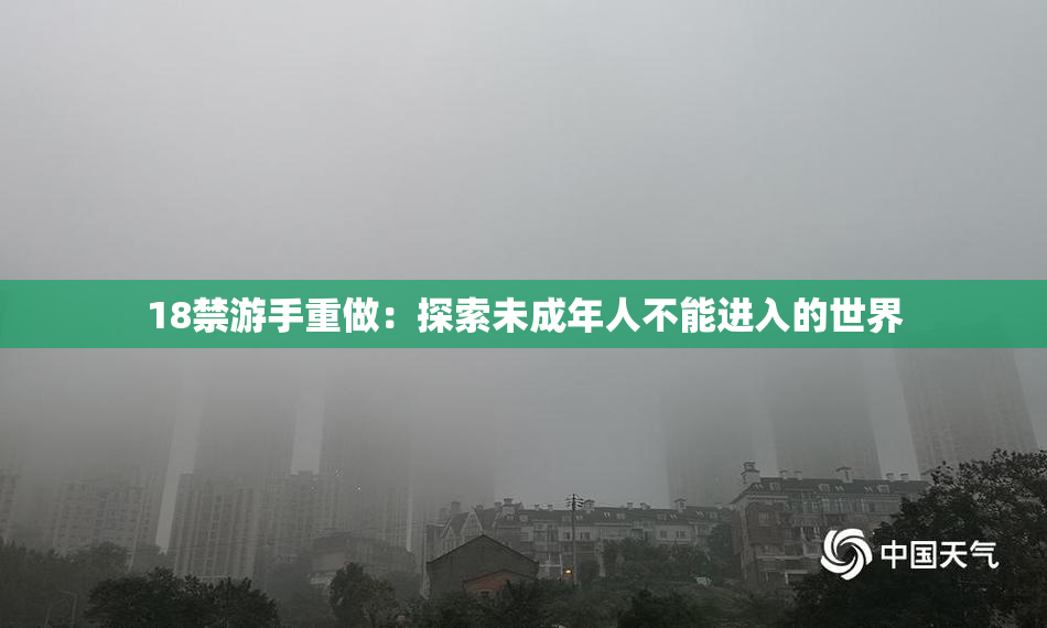 18禁游手重做：探索未成年人不能进入的世界