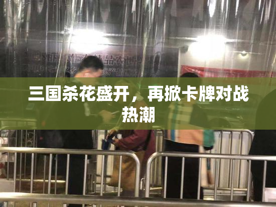 三国杀花盛开，再掀卡牌对战热潮