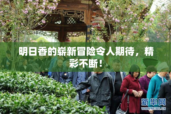 明日香的崭新冒险令人期待，精彩不断！