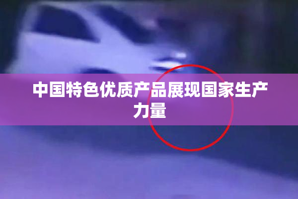 中国特色优质产品展现国家生产力量