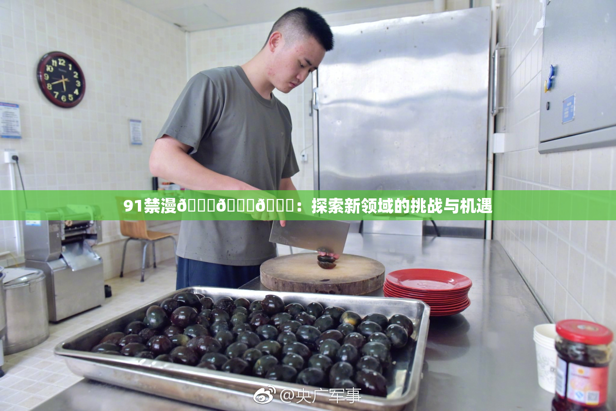 91禁漫🍆🍑🔞：探索新领域的挑战与机遇
