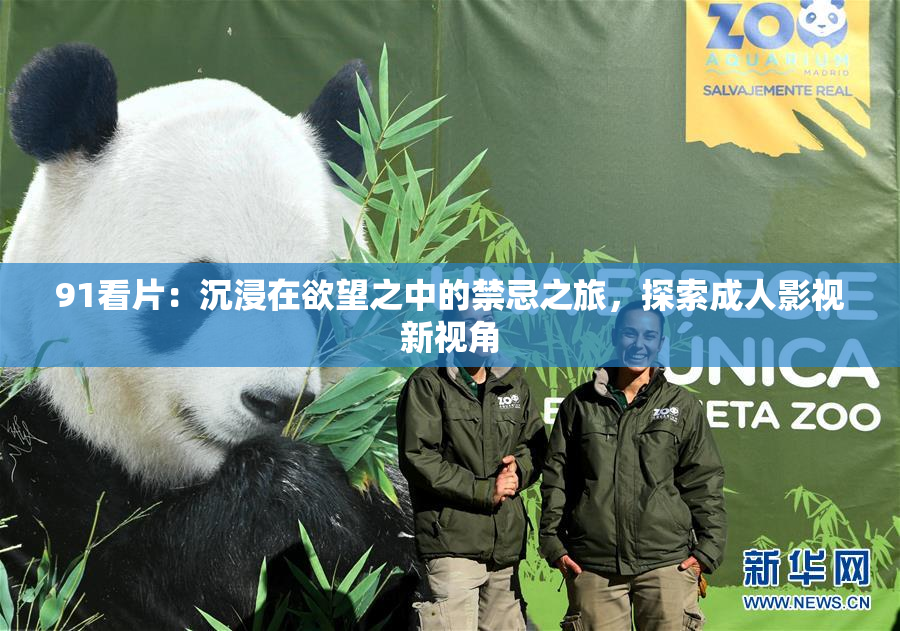 91看片：沉浸在欲望之中的禁忌之旅，探索成人影视新视角