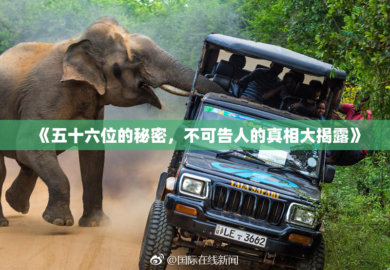 《五十六位的秘密，不可告人的真相大揭露》