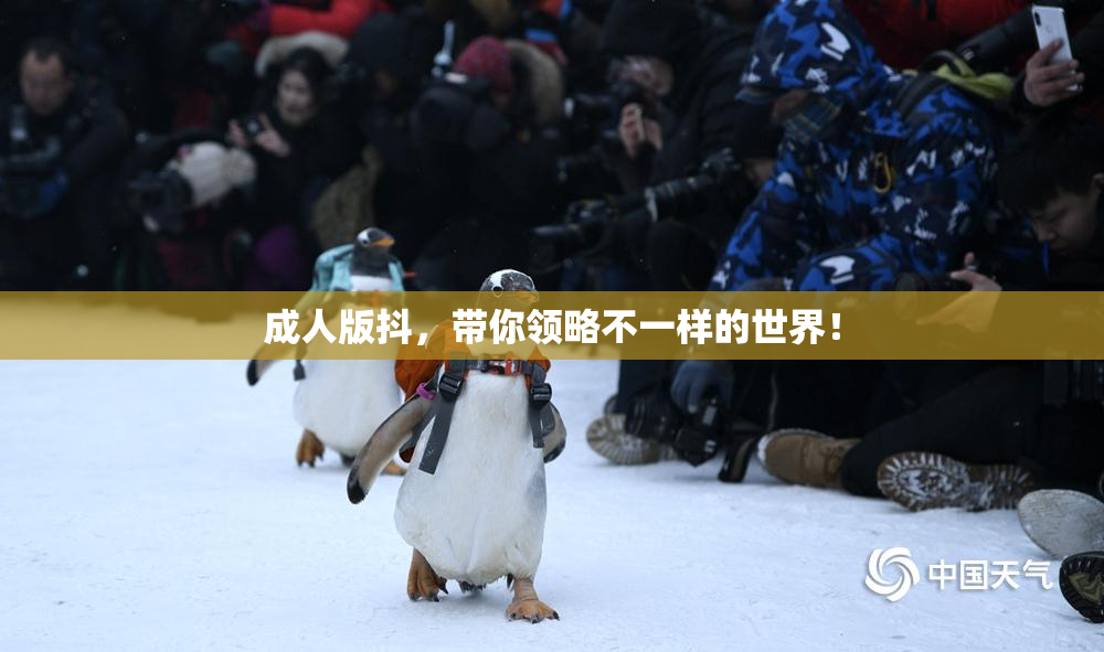 成人版抖，带你领略不一样的世界！