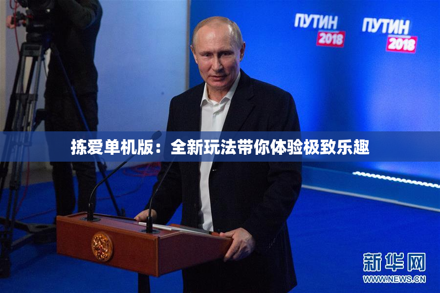 拣爱单机版：全新玩法带你体验极致乐趣