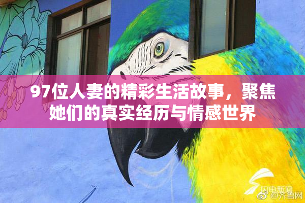 97位人妻的精彩生活故事，聚焦她们的真实经历与情感世界