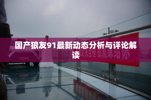 国产狼友91最新动态分析与评论解读