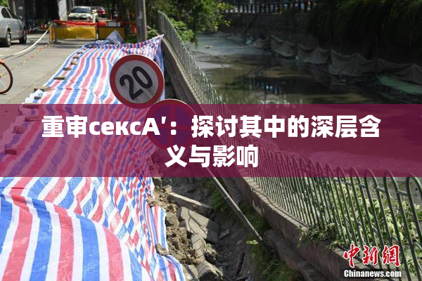 重审сексA′：探讨其中的深层含义与影响