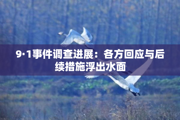 9·1事件调查进展：各方回应与后续措施浮出水面