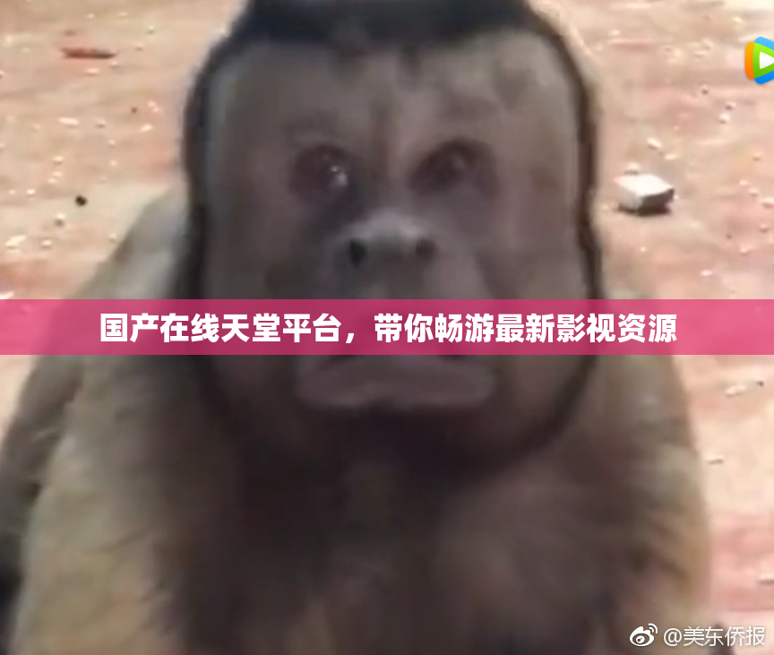 国产在线天堂平台，带你畅游最新影视资源