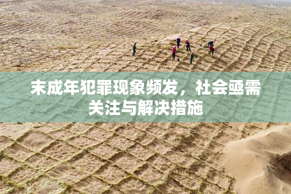 末成年犯罪现象频发，社会亟需关注与解决措施