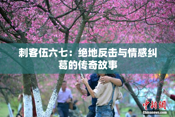 刺客伍六七：绝地反击与情感纠葛的传奇故事