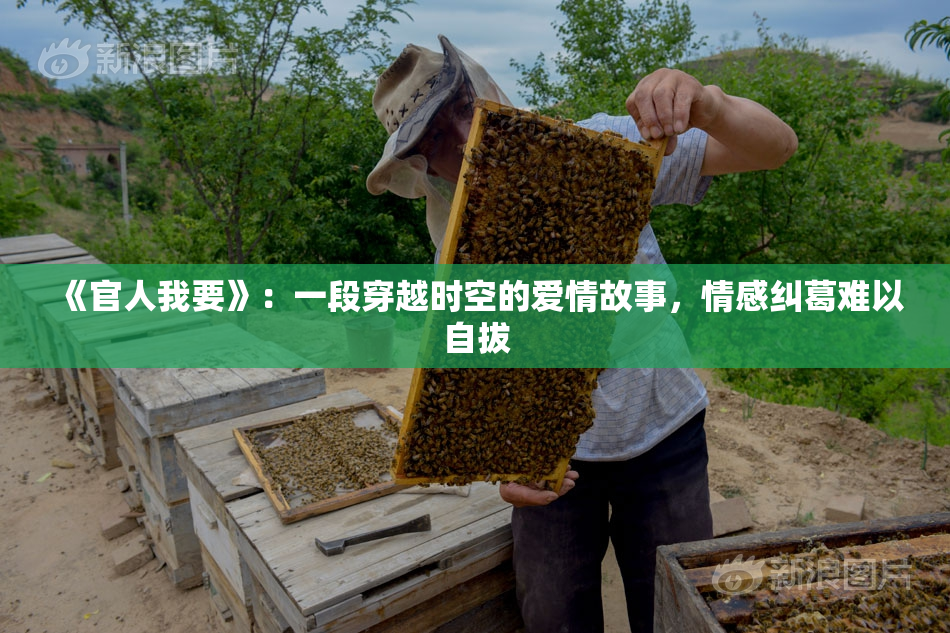 《官人我要》：一段穿越时空的爱情故事，情感纠葛难以自拔