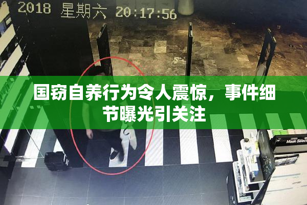 国窃自养行为令人震惊，事件细节曝光引关注