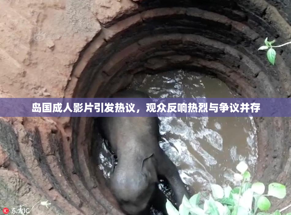岛国成人影片引发热议，观众反响热烈与争议并存