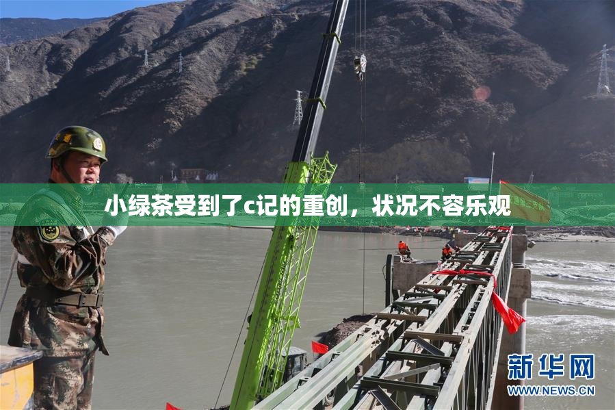 小绿茶受到了c记的重创，状况不容乐观