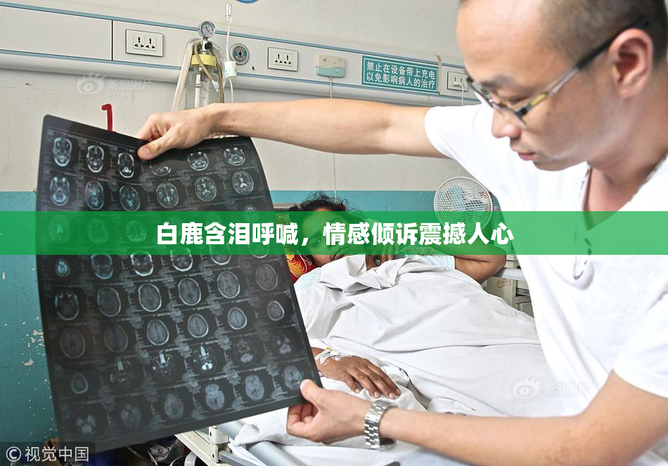 白鹿含泪呼喊，情感倾诉震撼人心