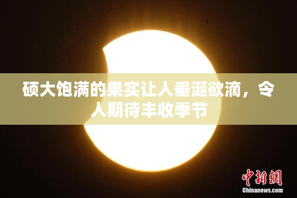 硕大饱满的果实让人垂涎欲滴，令人期待丰收季节