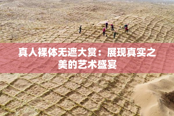 真人裸体无遮大赏：展现真实之美的艺术盛宴