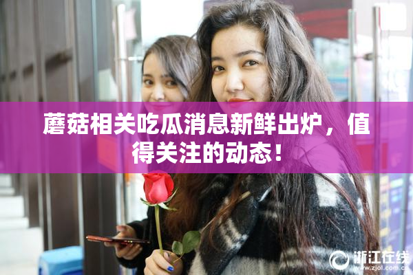 蘑菇相关吃瓜消息新鲜出炉，值得关注的动态！