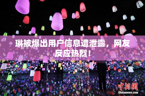 琳被爆出用户信息遭泄露，网友反应热烈！