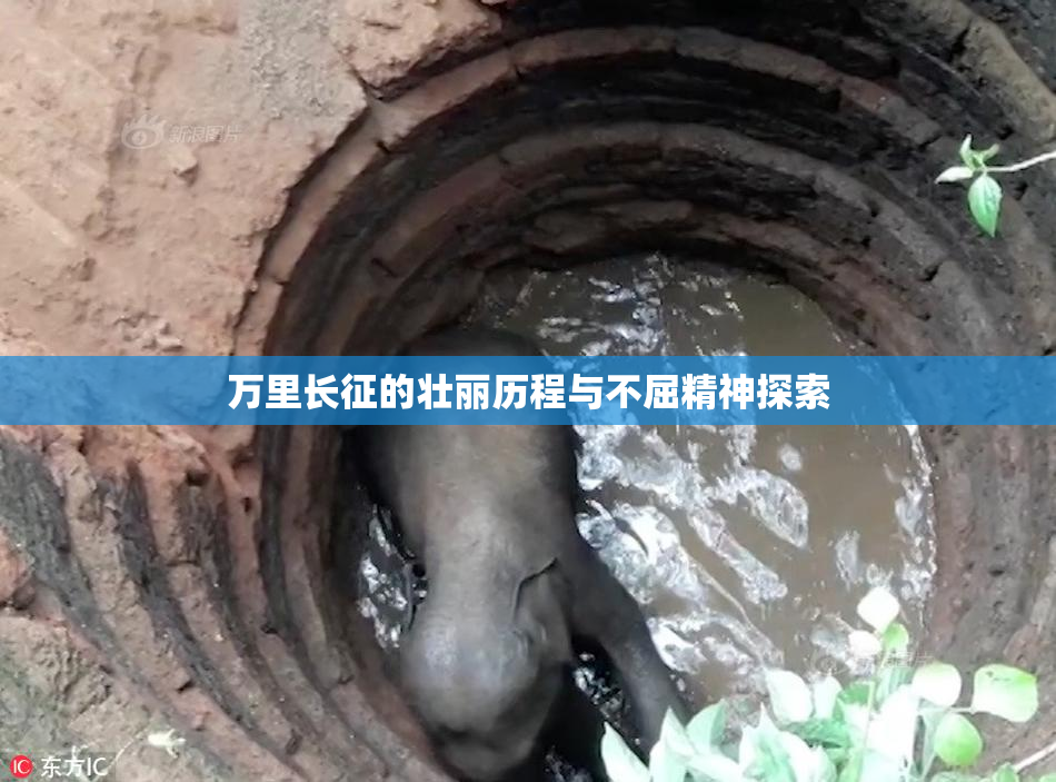 万里长征的壮丽历程与不屈精神探索
