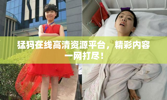 猛犸在线高清资源平台，精彩内容一网打尽！