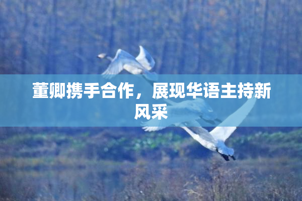 董卿携手合作，展现华语主持新风采
