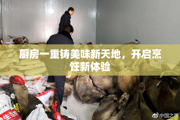 厨房一重铸美味新天地，开启烹饪新体验