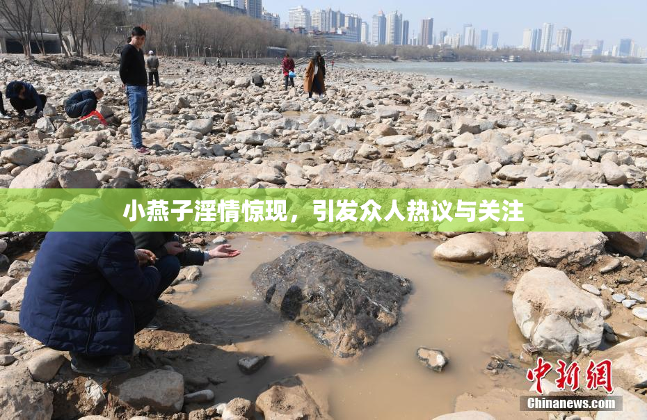 小燕子淫情惊现，引发众人热议与关注