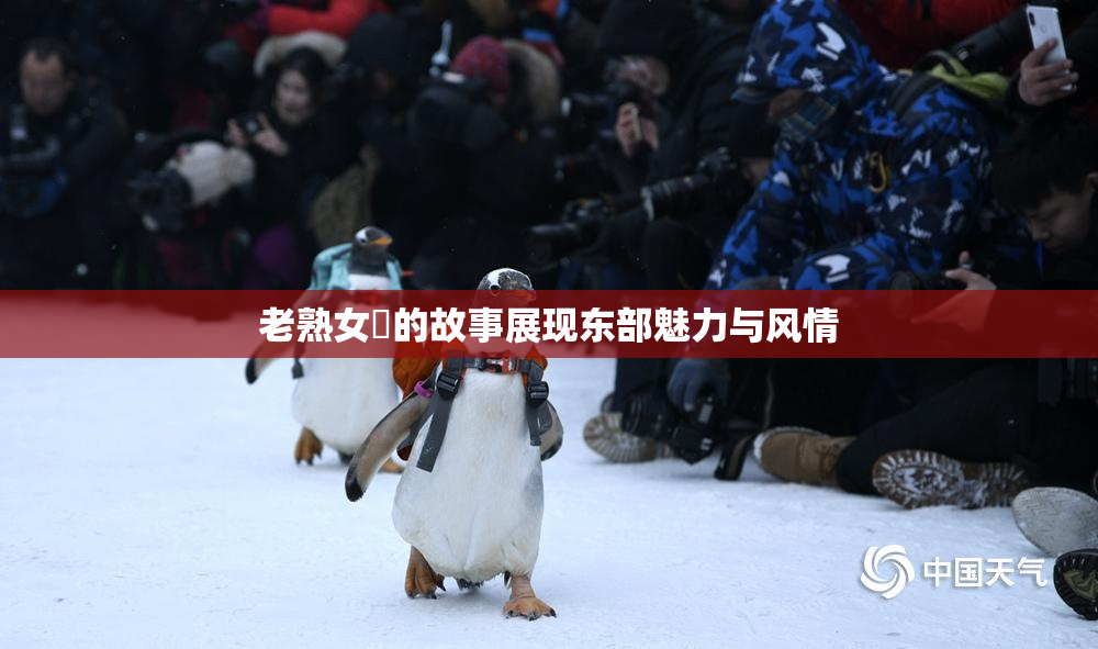 老熟女黃的故事展现东部魅力与风情