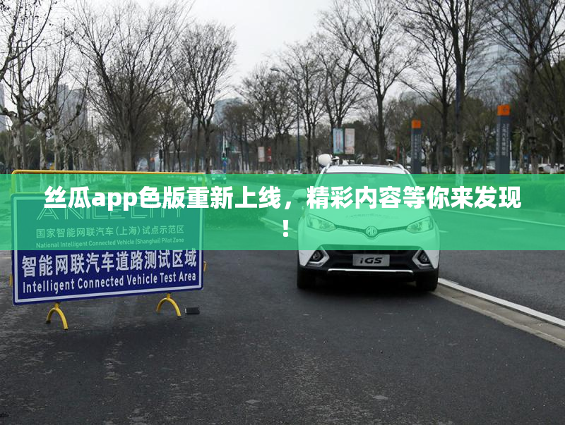 丝瓜app色版重新上线，精彩内容等你来发现！