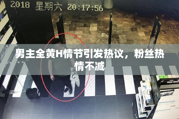 男主全黄H情节引发热议，粉丝热情不减