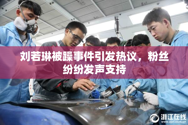 刘若琳被躁事件引发热议，粉丝纷纷发声支持
