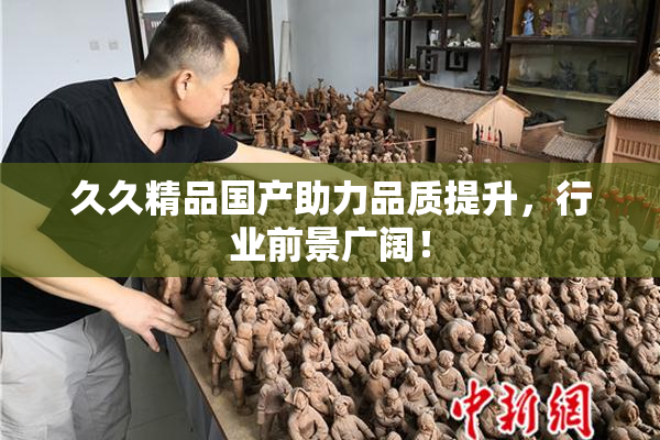 久久精品国产助力品质提升，行业前景广阔！