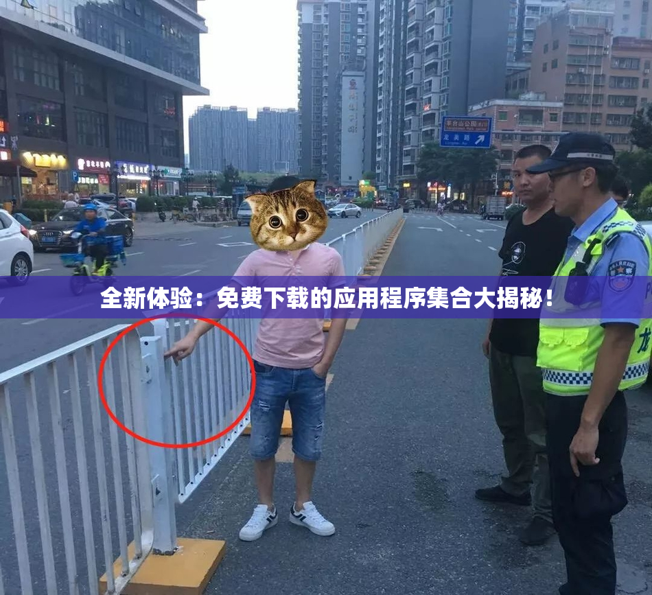 全新体验：免费下载的应用程序集合大揭秘！