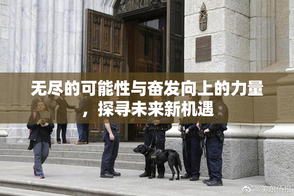 无尽的可能性与奋发向上的力量，探寻未来新机遇