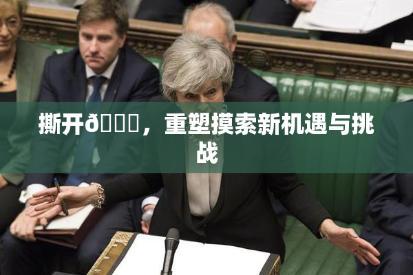 撕开👙，重塑摸索新机遇与挑战