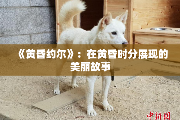 《黄昏约尔》：在黄昏时分展现的美丽故事
