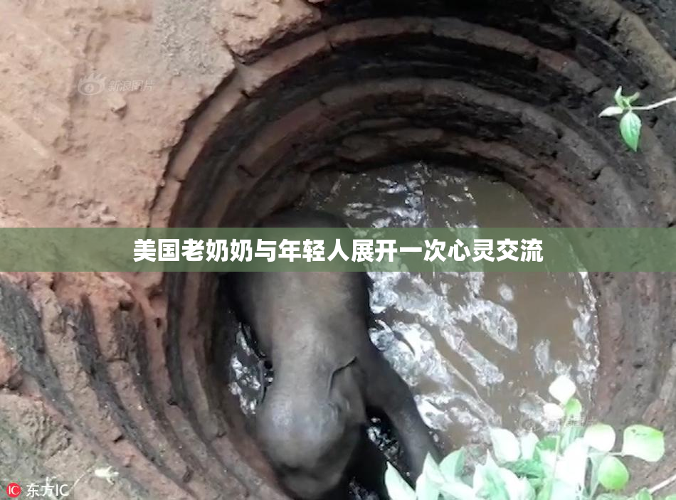 美国老奶奶与年轻人展开一次心灵交流