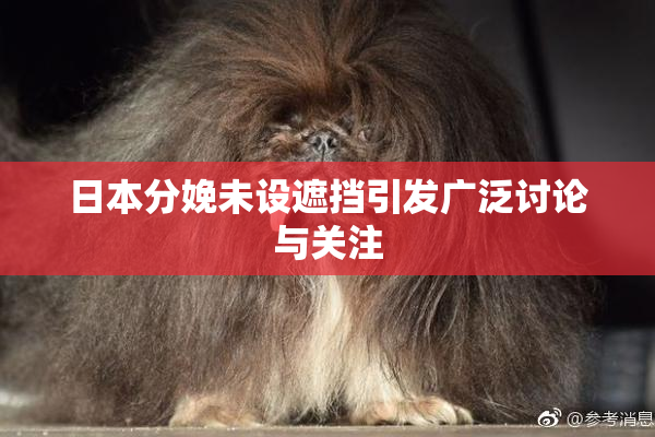 日本分娩未设遮挡引发广泛讨论与关注
