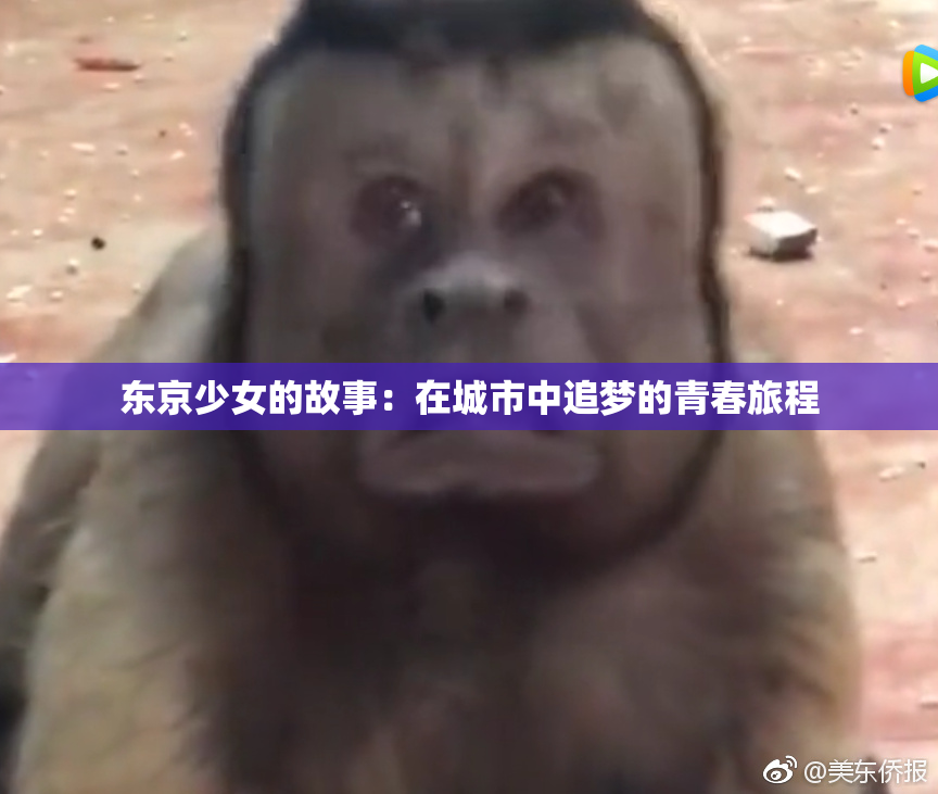 东京少女的故事：在城市中追梦的青春旅程