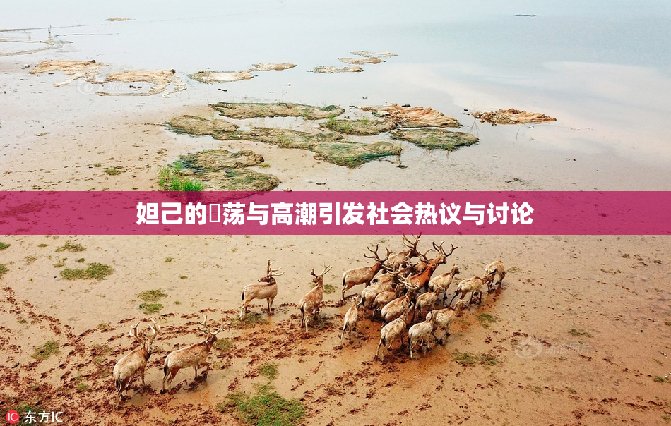 妲己的婬荡与高潮引发社会热议与讨论