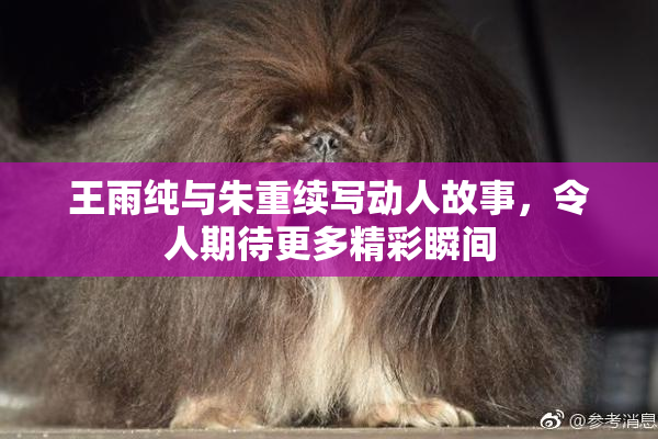 王雨纯与朱重续写动人故事，令人期待更多精彩瞬间