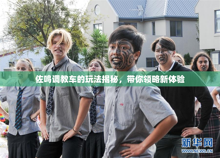 佐鸣调教车的玩法揭秘，带你领略新体验