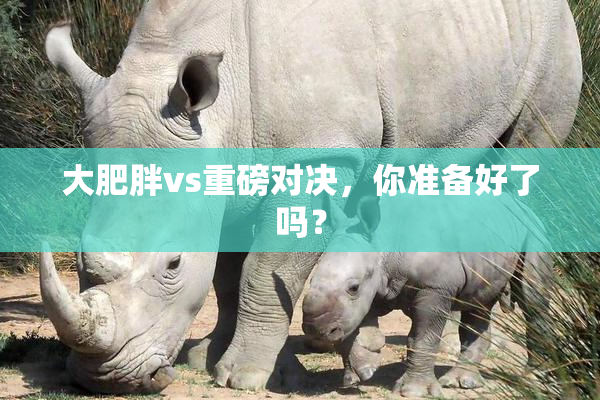 大肥胖vs重磅对决，你准备好了吗？