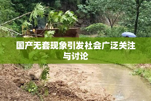 国产无套现象引发社会广泛关注与讨论