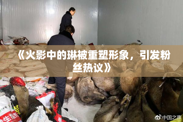 《火影中的琳被重塑形象，引发粉丝热议》